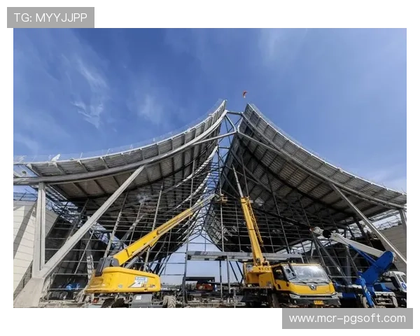 服务外包模式普及 专业机构承接场馆运营成常态